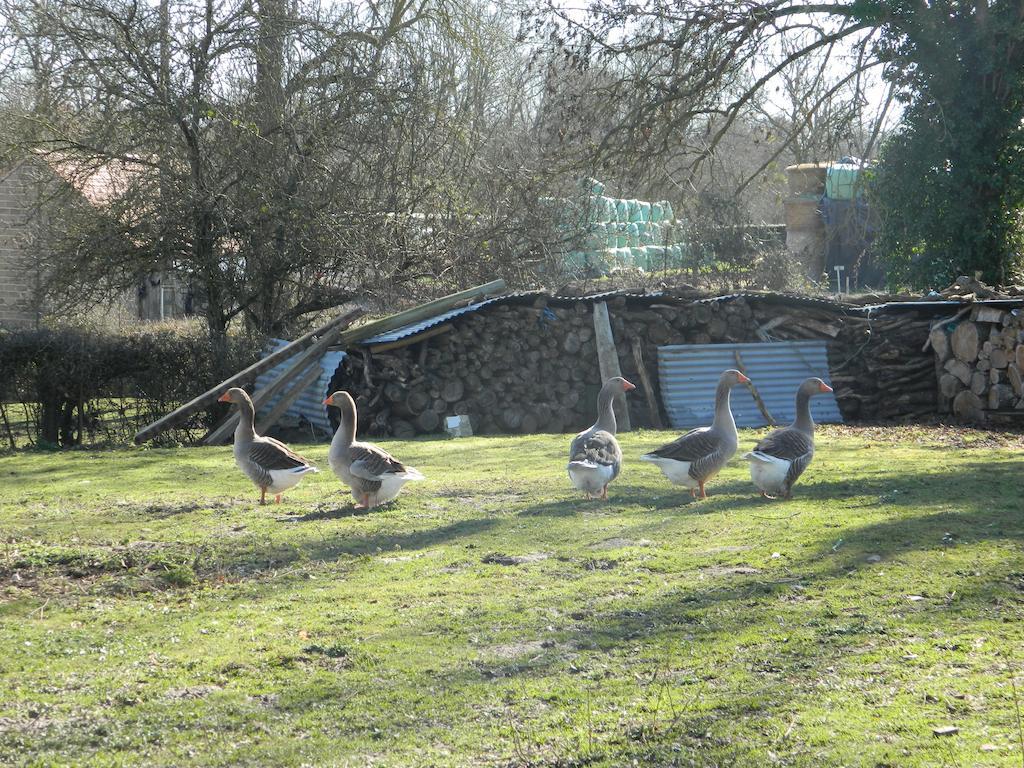 Meubles De Tourisme La Reserve Saint-Pierre-les-Bois Bagian luar foto