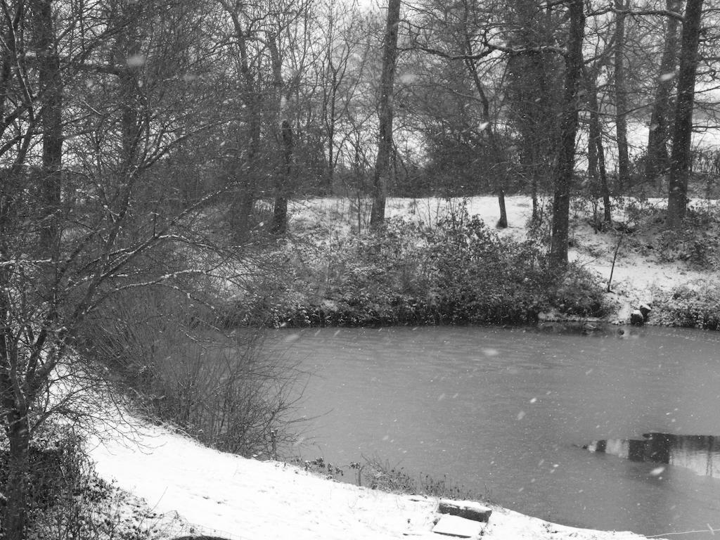 Meubles De Tourisme La Reserve Saint-Pierre-les-Bois Bagian luar foto